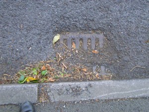 A drain - or "gulley" clearly in need of clearing!